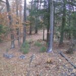 Generic_AMCREST-002-20261030-1630150108-Cam-2-Type-0
