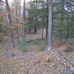Generic_AMCREST-002-20261030-1700158332-Cam-2-Type-0