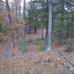 Generic_AMCREST-002-20261030-1730166989-Cam-2-Type-0