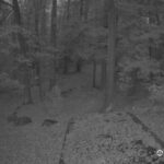 Generic_AMCREST-002-20261030-1800175089-Cam-2-Type-0