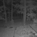 Generic_AMCREST-002-20261030-1830181807-Cam-2-Type-0