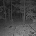 Generic_AMCREST-002-20261030-1900188390-Cam-2-Type-0