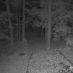Generic_AMCREST-002-20261030-2000201893-Cam-2-Type-0