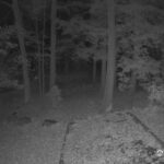Generic_AMCREST-002-20261030-2030208411-Cam-2-Type-0
