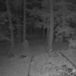 Generic_AMCREST-002-20261030-2100215105-Cam-2-Type-0