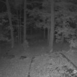 Generic_AMCREST-002-20261031-0430045909-Cam-2-Type-0