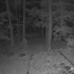 Generic_AMCREST-002-20261031-0530058144-Cam-2-Type-0