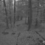 Generic_AMCREST-002-20261031-0700079766-Cam-2-Type-0