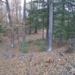 Generic_AMCREST-002-20261031-0730088291-Cam-2-Type-0