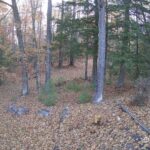 Generic_AMCREST-002-20261031-0800097516-Cam-2-Type-0