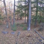 Generic_AMCREST-002-20261031-0830105740-Cam-2-Type-0