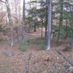Generic_AMCREST-002-20261031-0900104565-Cam-2-Type-0