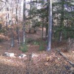 Generic_AMCREST-002-20261031-1000112395-Cam-2-Type-0