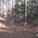 Generic_AMCREST-002-20261031-1030121058-Cam-2-Type-0