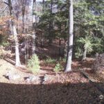 Generic_AMCREST-002-20261031-1100129994-Cam-2-Type-0