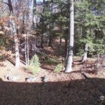 Generic_AMCREST-002-20261031-1130138968-Cam-2-Type-0