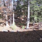 Generic_AMCREST-002-20261031-1200147650-Cam-2-Type-0