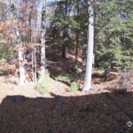 Generic_AMCREST-002-20261031-1230155710-Cam-2-Type-0