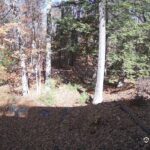 Generic_AMCREST-002-20261031-1300154200-Cam-2-Type-0