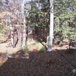 Generic_AMCREST-002-20261031-1330153283-Cam-2-Type-0
