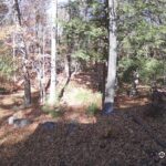 Generic_AMCREST-002-20261031-1400162145-Cam-2-Type-0