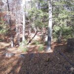 Generic_AMCREST-002-20261031-1430171204-Cam-2-Type-0