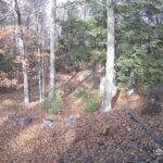 Generic_AMCREST-002-20261031-1500180473-Cam-2-Type-0