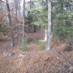 Generic_AMCREST-002-20261031-1530189896-Cam-2-Type-0